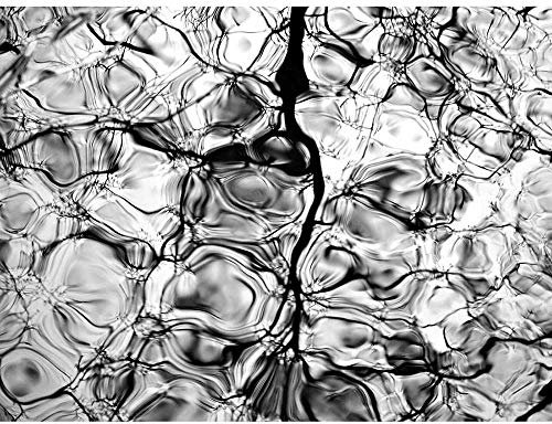 Wee Blue Coo Abstract Ice Water Grey Black White Art Print Poster Wall Decor Kunstdruck Poster Wand-Dekor-12X16 Zoll