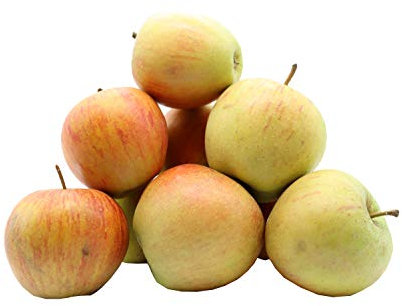 Bleichhof Äpfel Rubinette - saftig, fein-säuerliches Cox Orange Aroma, aus der Pfalz (7kg) Neue Ernte