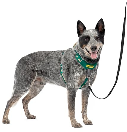 PetSafe Easy Walk Comfort No-Pull Hundegeschirr, Ganzkörperpolsterung – bessere Spaziergänge bei der ersten Verwendung – 5 Anpassungspunkte, M/L, Grün