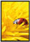 Pixxprint Marienkäfer Nahaufnahme Leinwandbild 100x70 cm im Bilderahmen, Wandbild, Schattenfugenrahmen, Kein Poster