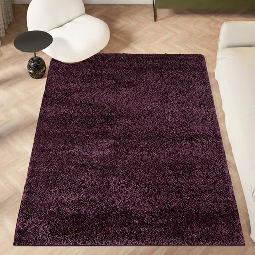 homeart Area Rug - Super Soft Shaggy Rugs For The Living Rooms, Bedrooms And Kitchen - Modern, Easy To Clean Carpet - 120x170 cm, Lavender Purple