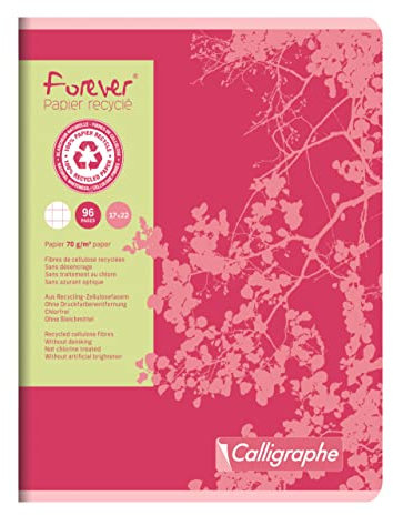 Calligraphe Clairefontaine 17105C - Packung mit 10 Heften Forever Calligraphe 17x22 cm, 48 Blatt, kariert, Recycling Papier, 70g, sortierte Farben, 1 Pack