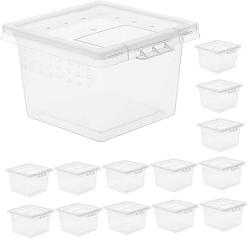 Ipetboom 20 Stück Reptil Box, Schlüpfender Tausendfüßler Schildkröte Laubfrosch Bartschildkröte Haustierbehälter Acrylgehäuse Spinne Vogelspinnen Terrarien Füttern, Insektenbox Faunabox Terrarium