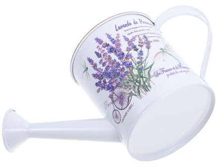 RORPOIR Arrosoir Décoratif en Métal pour Plantes D'intérieur 9,5xh10x9 Cm Motifs Lavande Arrosoir Mural en Outil De Jardinage Élégant Décoration Maison Créative