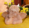 Engel,echt Terracotta Terrakotta Garten Deko Figur Kopf Nikolaus Weihnachten Grab Trauer Beerdigung Totensonntag Volkstrauertag