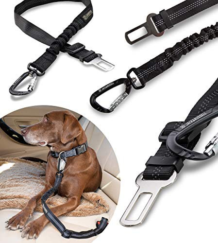 Jack & Russell Premium Anschnallgurt Oskar flexibel - Auto Sicherheitsgurt mit Premium Drehverschluss-Karabiner - inkl. Jutebeutel (schwarz)