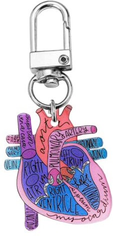AIRHSKWI Anatomischer Herz-Schlüsselanhänger, pädagogisches Schlüsselanhänger, Zubehör für Physikalische Studenten und medizinisches Fachpersonal, Stahllegierung, Feder, Stoff