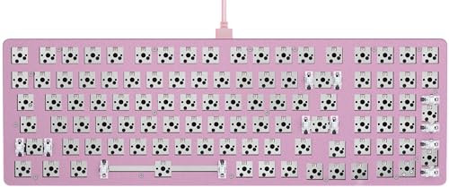 Glorious Gaming GMMK 2 Full Size (96%) Barebones (Frame Only) – Mechanisches Gaming-Tastaturgrundgerüst, Fullsize (96%), Aluminium, individuell anpassbar, RGB, Amerikanisch/ANSI Layout - Rosa