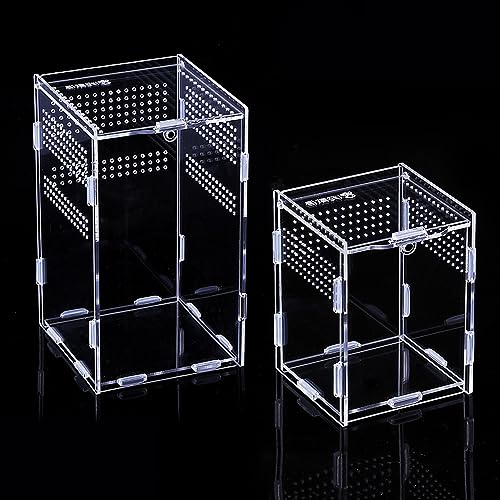 2 Stück Terrarium Box, Reptilien Futterbox, Insect Feeding Box Acryl-Transparent-Transportbox, Reptilien Aufzuchtbox für Spinnen, gehörnte Frösche, Käfer, Haustierschlangen und andere(Groß+Klein)