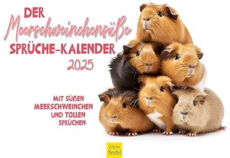Edition Seidel Premium Kalender Meerschweinchen 2025 Format DIN A3 Wandkalender Tierkalender Tiere mit lustigen Sprüchen coole Zitate