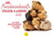Edition Seidel Premium Kalender Meerschweinchen 2025 Format DIN A3 Wandkalender Tierkalender Tiere mit lustigen Sprüchen coole Zitate