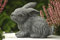 STEINFIGUREN SPICKER Steinfigur Hase Zwergkaninchen 193/1, Gartenfigur Steinguss Tierfigur Basaltgrau