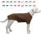 Lovelonglong Hund T-Shirt, 100% Baumwolle, Haustier T-Shirt, Hund-Unterhemd T-Shirts Für Dackel, Corgi Coffee D-S