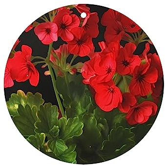 6 Pcs Car Air Fresheners Hanging Fragrance Scented Cards Car Aromatherapy Tablets Red geraniums Car Interior Mirror Pendant Gifts for Women Men