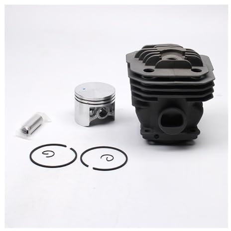 eKmRFN Kit di Clip for Fasce Elastiche e Pistoni Cilindro da 48 mm, Adatti for EMAK OLEO Mac 965 961 962 956 EFCO 162, ricambi for Motosega da Giardino 50022006