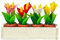Melody Jane Dolls House White Window Box with 4 Pots of Lilies Miniature Garden Accessory