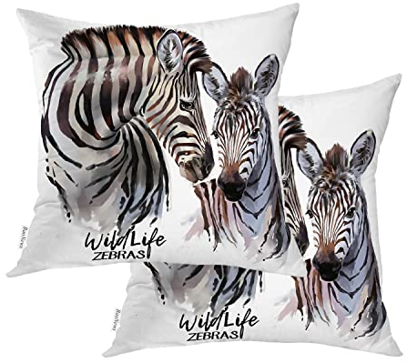 BaoNews Animal African Zebra Throw Pillow Covers,Black Painting Wild Cute Stripes Cushion Cover Digital Blended Hidden Zipperl Decorative Pillowcases for Hair Skin Square 22X22 IN 2 Pcs
