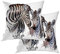 BaoNews Animal African Zebra Throw Pillow Covers,Black Painting Wild Cute Stripes Cushion Cover Digital Blended Hidden Zipperl Decorative Pillowcases for Hair Skin Square 22X22 IN 2 Pcs