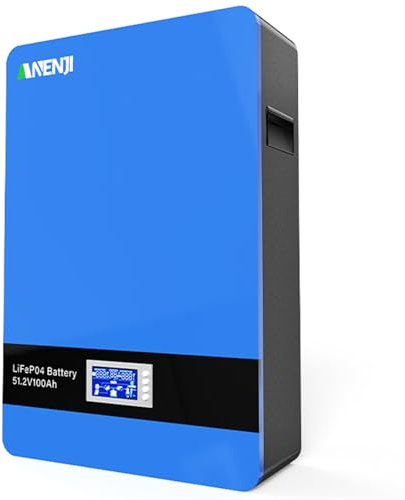 Aninerel Batteria ricaricabile da 100 Ah, 48 V, LiFePO4, 5 KWh, 51,2 V, 8000 cicli, con BMS, accumulatore di energia da parete per impianto fotovoltaico RV