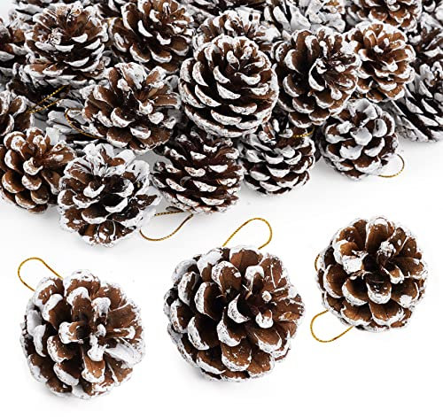 Christmas Pine Cones, Natural Pinecones Ornament Snow Pine Cone Decorations With String for Gift DIY Crafts Home Xmas Tree Wreath Dried Garland Holiday Winter Decoration (50, 4-6 CM)