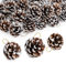 Christmas Pine Cones, Natural Pinecones Ornament Snow Pine Cone Decorations With String for Gift DIY Crafts Home Xmas Tree Wreath Dried Garland Holiday Winter Decoration (50, 4-6 CM)