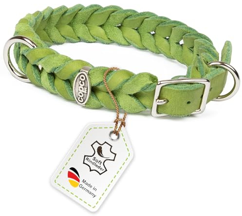 CopcoPet Hundehalsband aus Fettleder 30–34 cm x 15mm Apfelgrün – Geflochtenes Lederhalsband – verchromt mit Dornschließe – Robust & verstellbar – Für kleine Hunde, ideal für Alltag & Training