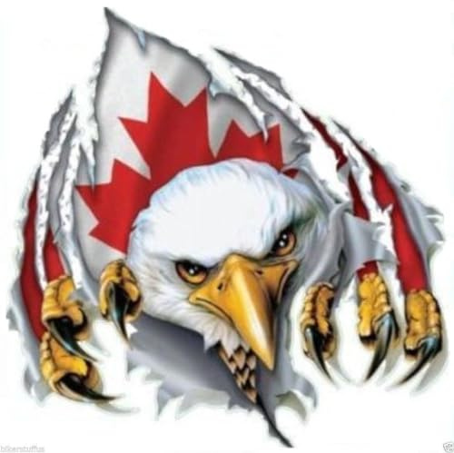 Kanada Seeadler Flagge F933 Autoaufkleber Sticker Aufkleber 11 cm | Motivdetails: Canada, Canadian, Flag, Fahne, Eagle; selbstklebende Folie für Fahrzeug und weitere glatte Oberflächen