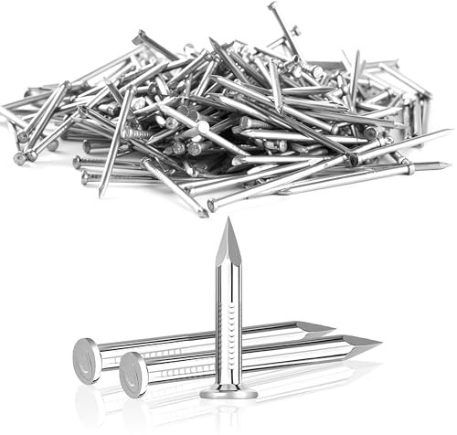 Jyvex 200 Stück 20mm Stahlnägel, Nägel für betonwände Verzinkt, Nagel Holzarbeiten Ziegelstein, Stahlnägel für Bilder, nägel für bilderrahmen, Universelle Einsatzmöglichkeit im Innen- und Außenbereich