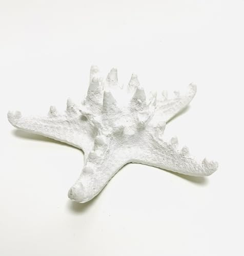 Artificial Coral Ornament, Resin Faux Coral Aquarium Decor White Coral Reef Decor Decorative Sea Coral Stony Coral Realistic Underwater Sea Plant for Fish Tank Decoration, Bathroom (Starfish Coral)