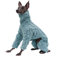 DHGTEP Fleece Hundemantel mit Beinen für Windhund, Hundepullover aus Samt mit winddichtem Rollkragen, Hundejacke für Whippet, Windhund, Lurcher, Salukis (Color : Grün, Size : XX-Large)