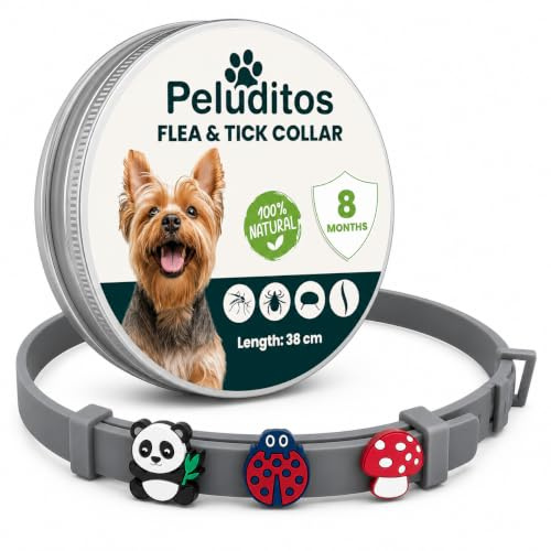 Collar antiparasitario Natural para Perros pequeños– protección hasta 8 Meses contra pulgas y garrapatas – Ajustable y Suave con su Piel + 3 Charms Decorativos de Regalo