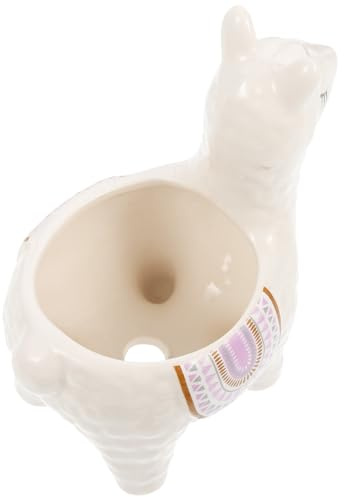 FIXOSHEE Maceta de Cerámica Alpaca Pequeña Decorativa para Suculentas y Cactus Macetero Resistente para Interior Jardineras Originales para Escritorio y Hogar