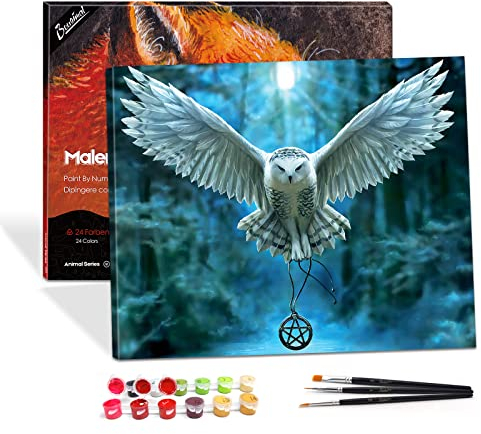 Bougimal Malen nach Zahlen für Erwachsene mit Pinseln und Acryl, zum Basteln, Malsets für Erwachsene, Kinder, Senioren, Anfänger, für die Innendekoration zu Hause – 40 x 50 cm (mit Rahmen)