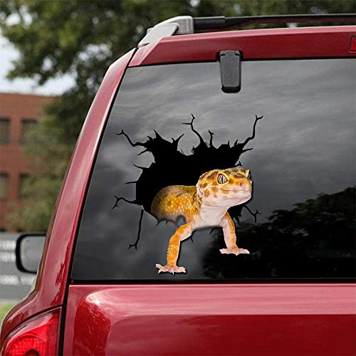 Ocean Gift Common Leopard Gecko Auto-Aufkleber, Wandaufkleber, 2 Stück - Realistische Auto-Aufkleber, Design Wildtiere Serie 21, Größe 20,3 x 20,3 cm