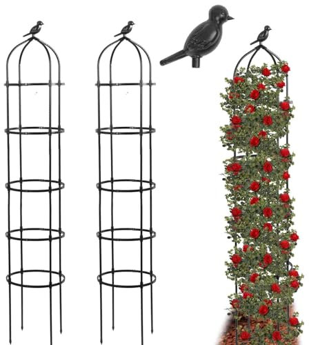 Lot de 2 Treillis obélisques de 205 cm pour Plantes grimpantes, Treillis de Jardin en métal, Support de Plantes pour vignes grimpantes, Supports de Fleurs, Tour de Plantes en Tube épais, obélisque de