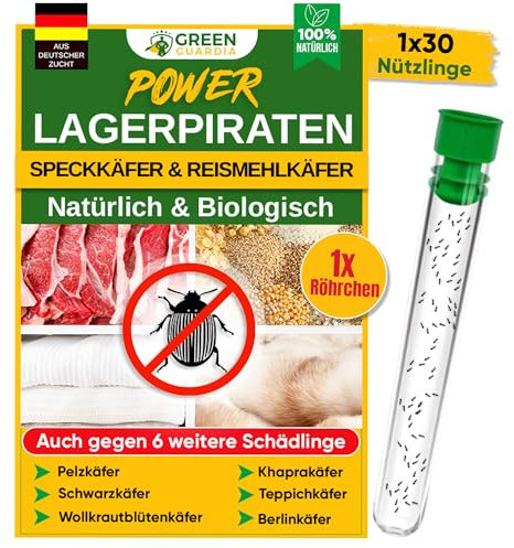 GREEN GUARDIA Lagerpiraten gegen Speckkäfer - 1 Röhrchen à 30 Nützlinge - effektiv Teppichkäfer, Pelzkäfer, Reismehlkäfer UVM. bekämpfen. Alternative zu Speckkäfer Falle & Teppichkäfer Falle