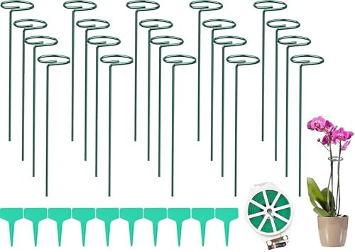 Lot de 20 supports pour plantes de 30 cm - En acier - Avec anneau de fleurs - Pour fleurs, lys, pivoines, roses, tomates