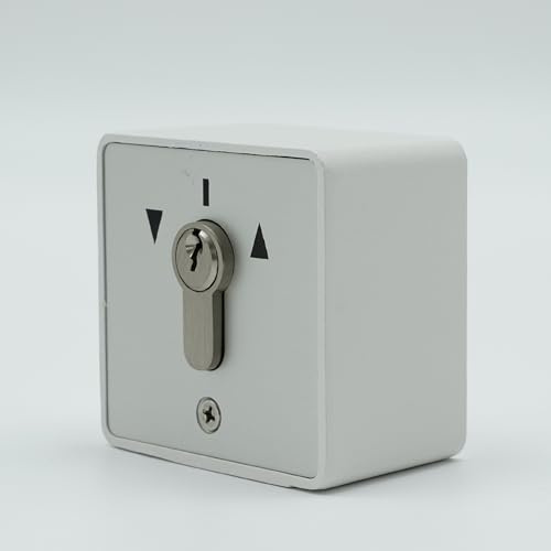 Universal-Schlüsselschalter, 16018-3A, 2 Funktionen, Aufputzmontage, 16 A, Trockenkontakt NO, kompatibel mit verschiedenen Marken + 1 Goodies Domobi (16018-3A – Wand)