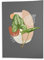 Fabulous Poster Plakat Philodendron Pflanze Tropisch Exotisch Dschungel