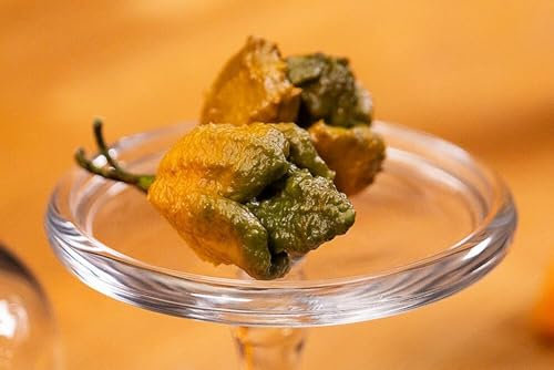 10 SEMI DI PEPPER X UNOFFICIAL WORLD HOTTEST PEPPER 3,180,000 SHU