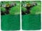 Peosaard Root Tabs, 2 Bags Aquarium Plant Fertilizer with Organic Resin Coated 80 Tablets for Aquarium Plants Supplies