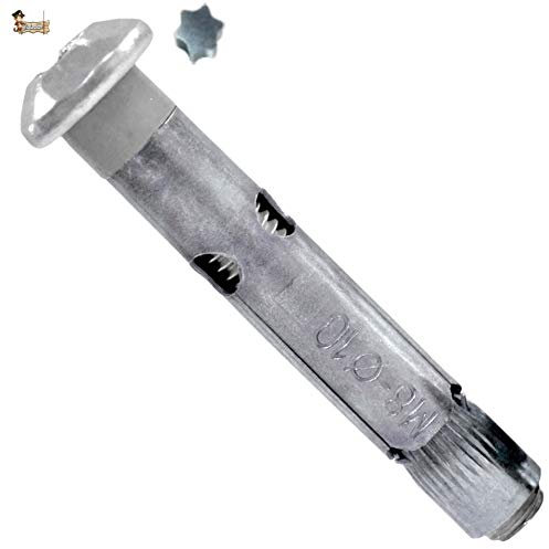 BricoLoco Anclaje metálico de expansión con tornillo inviolable. Para fijación de barrera parking, postes, rejas… (25, 8x80 (para broca 10 mm.))