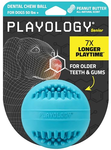 Playology Dental Chew Ball Toy for Senior Dogs - Jumbo, Peanut Butter Scent
