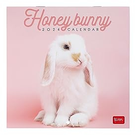 Legami - Wandkalender 2024, 12 Monate und Jahresplaner, Platz für Notizen und Notizen, Wochennummer, Sternzeichen und internationale Feiertage, Einzelzellophanatur, 18 x 18 cm