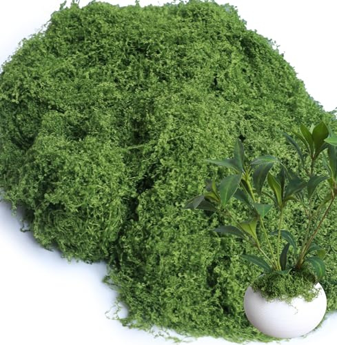 Forlaoers 8.8oz Green Fake Moss Faux Plant Grass Artificial Flowers Moss for DIY Crafts Fairy Garden Pot Filler Vase Decorating Project Indoor Model Making Walls Glass Decor