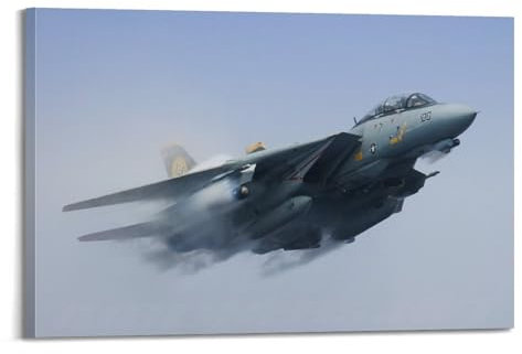 SHJNGU Poster mit Flugzeugtechnologie, Grumman F-14, Tomcat-Poster, dekoratives Gemälde, Leinwand, Wandposter und Kunstdruck, moderne Familienschlafzimmer-Dekoration, Poster, 60 x 90 cm