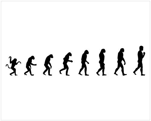 Wallario Poster - Evolution - Die Entwicklung des Menschen in Premiumqualität, Größe: 40 x 50 cm