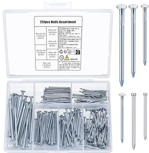 251 Piezas Surtido de Clavos para Madera, Clavo de Cabeza Redonda, Clavos Cemento para Pared Reparación Madera Bricolaje Colgar Cuadros Marco Espejo Construcción Hogar