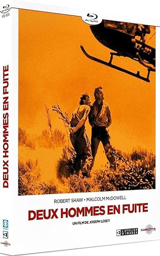 Im Visier des Falken / Figures in a Landscape (1970) ( ) [ Französische Import ] (Blu-Ray)