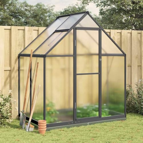 Runheo Serra con telaio di fondazione, antracite, 169 x 114 x 202 cm, in alluminio, resistente alle intemperie, per giardino, balcone, terrazza, serra per piante in policarbonato con finestra di